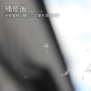 がラスリペア修復後